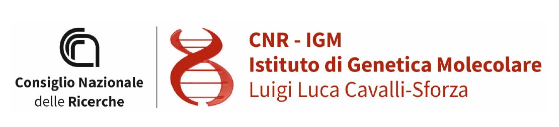 CNR-IGM